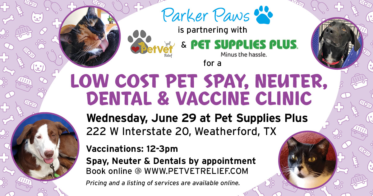 Low Cost Spay Neuter Dental Vaccine Clinic at Pet Supplies Plus